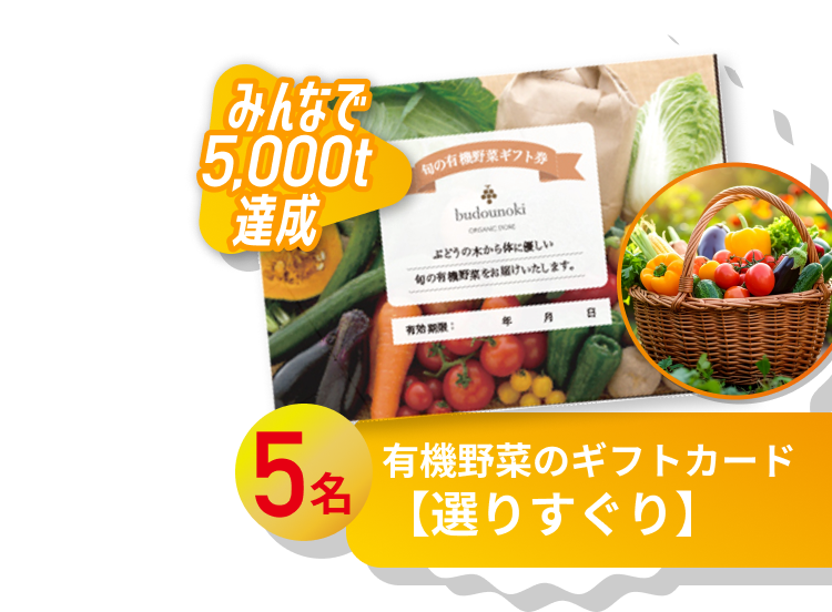 有機野菜のギフトカード 【選りすぐり】